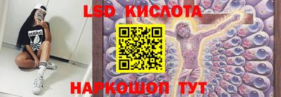 крисы Тара