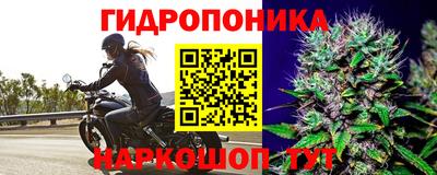 гашиш Ставрополь