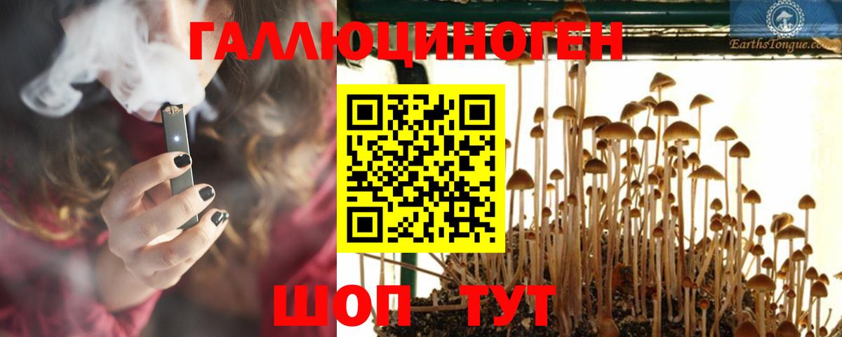 Острогожск  Псилоцибиновые грибы мухоморы  Вход с VPN 